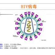 大兴安岭地区新林区 高危性行为如何服用阻断药?珍爱生命 拒绝毒品 ——谈一谈吸毒与艾滋病传播的关系