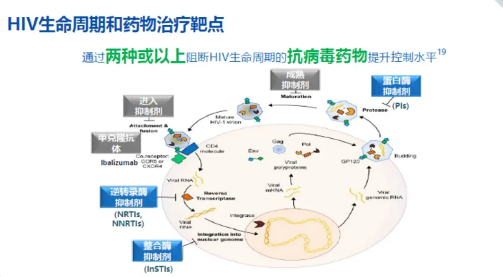 重庆巫山县阻断药怎么阻断？HIV阻断剂的作用机制原理