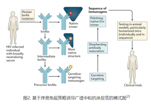 北京市丰台区24小时高危行为阻断药哪里买？艾滋病病毒的膜蛋白上有哪些广谱中和抗体表位