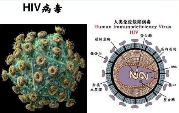 乐山市沙湾区  阻断药哪里有卖的 ?认知艾滋病，预防艾滋病