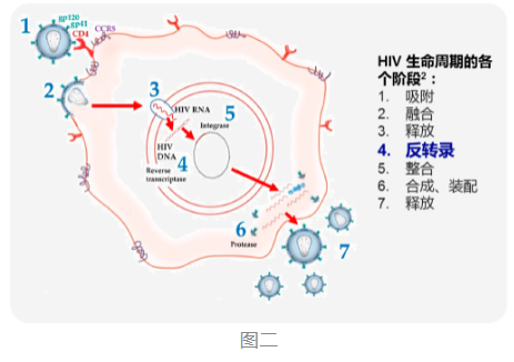 上海市虹口区阻断药是什么 能急送吗？暴露前预防HIV病毒的原理科普