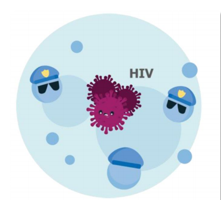 株洲市醴陵县阻断药是什么意思？hiv感染是如何发生的？应如何预防