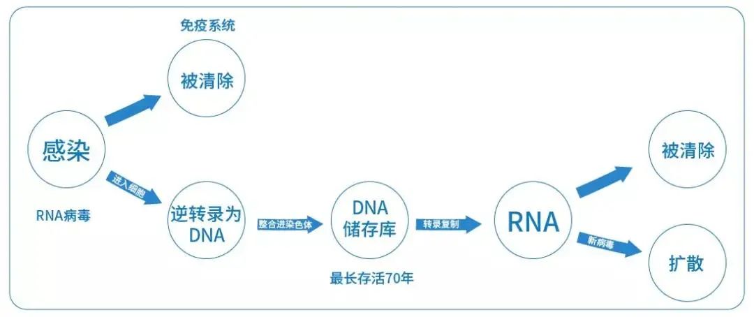 武汉市江岸区男士高危性行为阻断药多少钱？HIV储存库