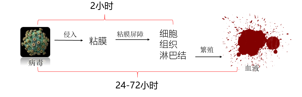 常德市鼎城区24小时阻断成功率是多少？黄金阻断期是什么时候