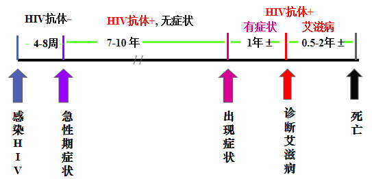 常州市新北区阻断药28天多少钱？“情人节”和“情人劫”只差0.04毫米，竟是因为它……