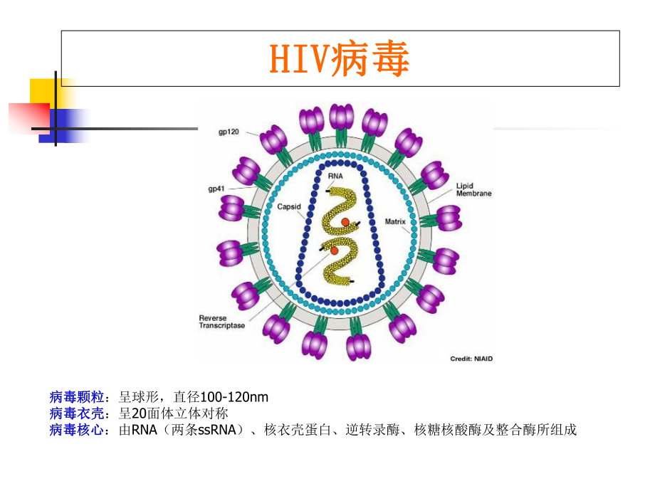 大兴安岭地区新林区 高危性行为如何服用阻断药？珍爱生命 拒绝毒品 ——谈一谈吸毒与艾滋病传播的关系